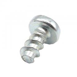Galvanized screw TCBR...