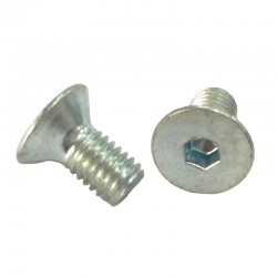 Tornillo TSVEI M5x10 zinc