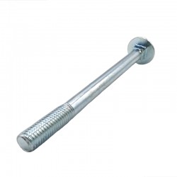 Tornillo TBQS M10x120