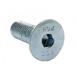 Tornillo TSVEI M10x30