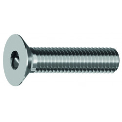 Tornillo TSVEI M5x16 zinc